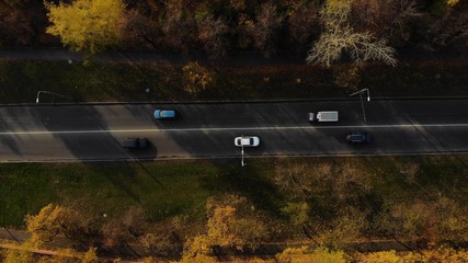 Cars between autumn trees from birds eye view. Aerial view of road with cars in the city at autumn