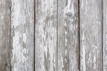 The old gray wooden background with a crackling white paint. Vintage style.