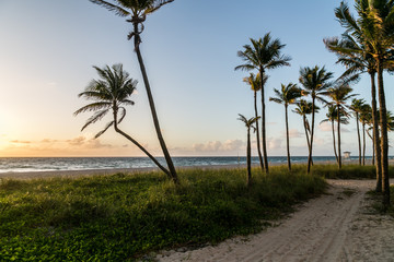 Fototapeta premium Empty Florida beach after mayors announce beach closures because of coronavirus concerns, Fort Lauderdale, Florida. 