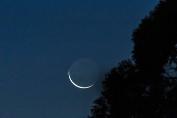 lua nova luz cinérea