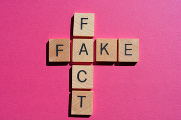 Fact Fake, words in wooden alphabet letters on bright pink background