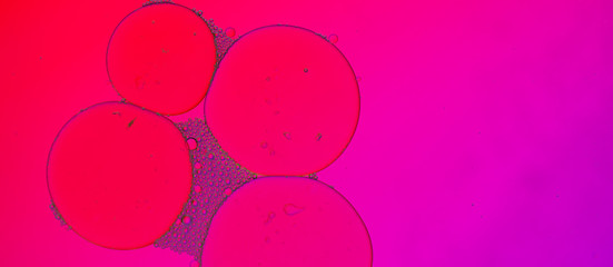 pink bubble background