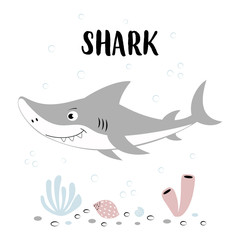 cute shark with lettering isolated on white, animal marine print