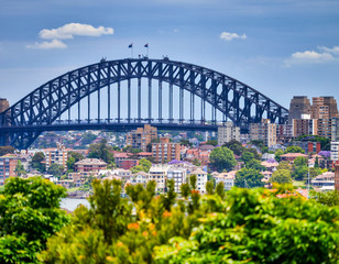 Aerial view of beautiful Sydney Harbour Bridge, Australia