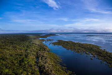 Aerial view of the river and the Amazon rainforest.