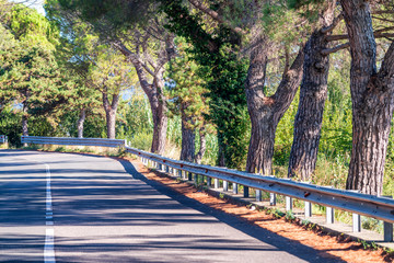 Road in Italy along the coastline