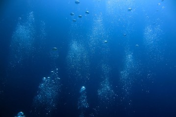 Bubble in the Blue Sea Underwater Ambiance
