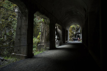 Obraz premium British Columbia Summer 