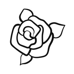 Simple vector hand drawn rose isolated on white background. Floral element design. Outline flower for web, greeting card, poster, clothes.