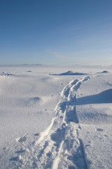 Fototapeta na wymiar road in snow
