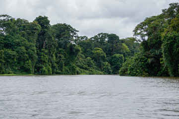 Boat trip into the canals of Tortuguero