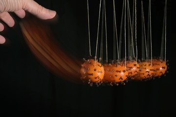 Hand is moving newton's cradle with coronavirus models from tangerines peppered with cloves, to...
