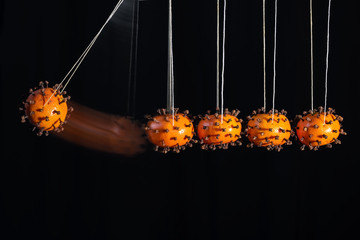 Newton's cradle with coronavirus made from tangerines peppered with cloves to illustrate how the...