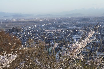 朝陽の天童市街地