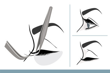 Eyelash Extension Procedure. Female Eye with Long Thick Eyelashes. Side View. Macro, Selective Focus. Guide. Infographic Vector Illustration