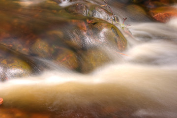 stream in the forest