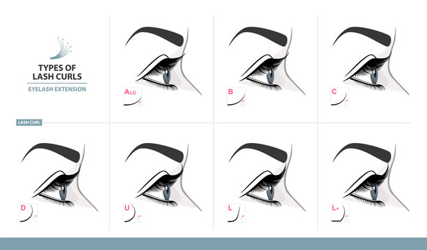Types of Lash Curls.  Eyelash Extension for Most Attractive Look. Woman Eye with Long Thick Eyelashes. Side View. Macro, Selective Focus. Guide. Infographic Vector Illustration