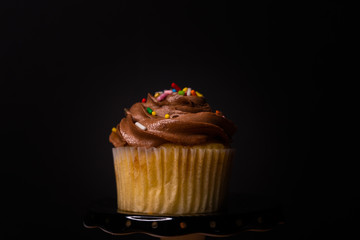 Vanilla cupcake with chocolate icing and colorful sprinkles on a black background
