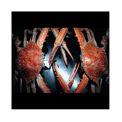 crab on black background