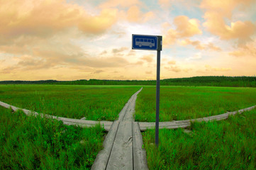 Swamp