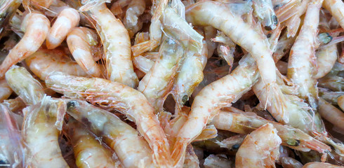 Frozen Shrimps in a supermarket