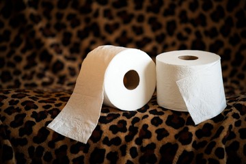 Toilet paper rolls artistic presentation series on leopard print blanket