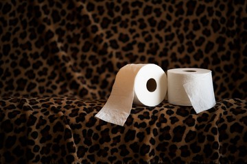 Toilet paper rolls artistic presentation series on leopard print blanket