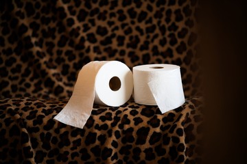 Toilet paper rolls artistic presentation series on leopard print blanket
