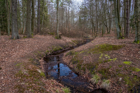 A melioration ditch that causes a fast water outflow speeding up drying the forest