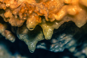 gotas de agua colgando de formaciones minerales en una gruta con colores desde el azul aqua al...