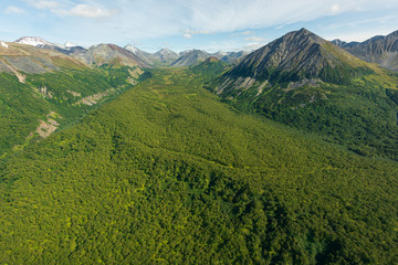 aerial view of Kamchatka volcanos, green valleys, snow and ice and the wonderful view of pure nature.