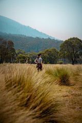 Obraz premium Lost in grass