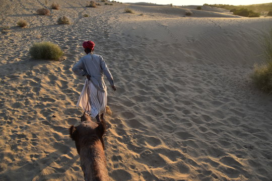 インドのラジャスタン州のジャイサルメール
クーリー村の砂丘を歩くラクダとラクダ使いの男性
ラクダの背中に乗っている、
高い所からの眺め