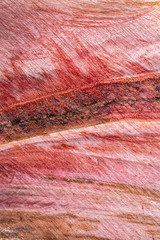Abstract new wood texture background fresh cut.