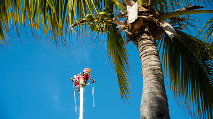 Colorfully Dressed Mexican Street Performers at the top of a Poll on The Beach