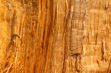 Background of Split Wood