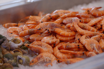 crevettes