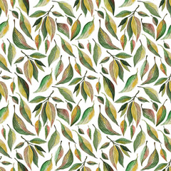 Green leaves watercolor seamless pattern. Botanical painting illustration isolated on white background. Summer Hand drawn illustration. Herbs for cosmetics, package, textile, cards, decoration