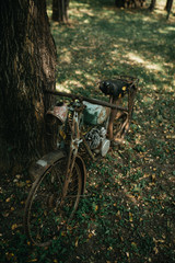 Beautifully decorated yard for wedding