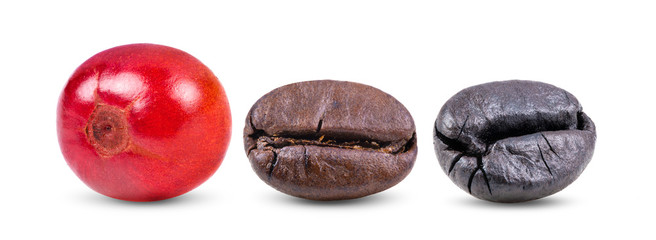 coffee beans  on white background