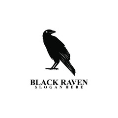 black raven vector logo design