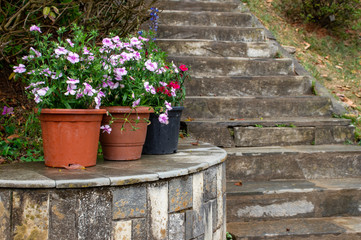 Fototapeta na wymiar Flower Pots Sitting Beside Steps