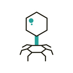 bacteriophage virus half line half color style icon vector design
