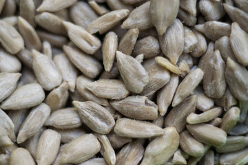 sunflower seeds background