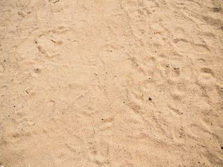 Sandy beach, top view. Texture of sand with track of legs. Close up photo of sand on tropical beach. Background for travel and vacation