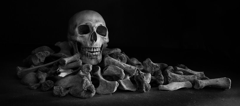 The skull on pile of bone on black background