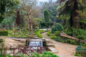 Outdoor Garden with Stream