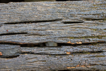 Wet Weathered Board Background