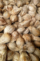 Group of peeled coconut