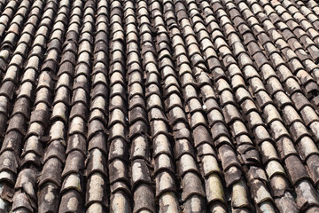 Tiled roof with flowers and palm tree.